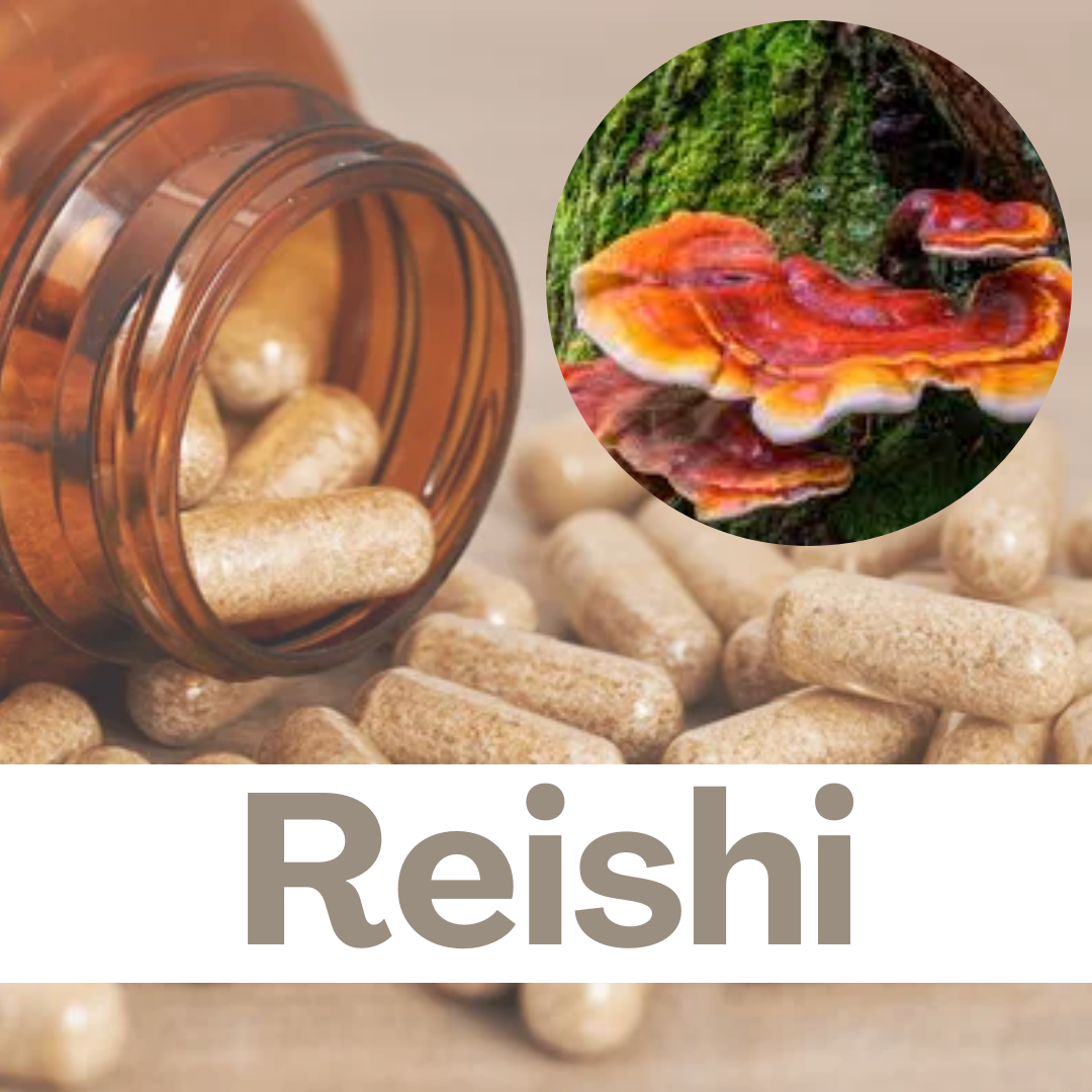 REISHI GANODERMA